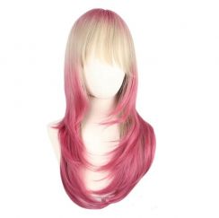 2Pcs Ladies Anime Wigs Cosplay Costume Wigs