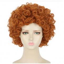 2Pcs Womens Short Curly Party Halloween Cosplay Costume Synthetic Wig